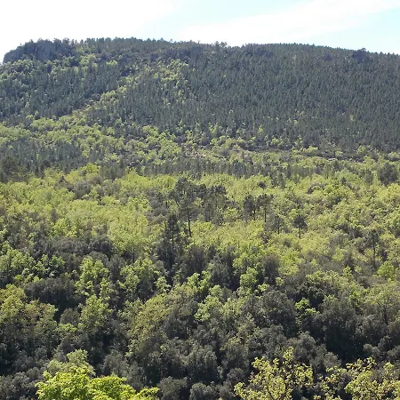 Hotel Au Relais Provencal Bagnols-en-Forêt